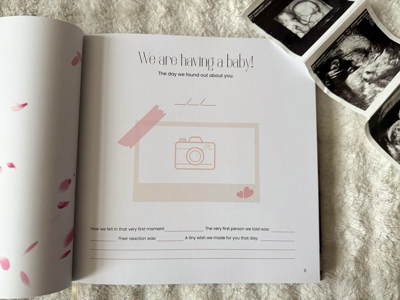from bump to birth – pregnancy journal (luxury gift edition)